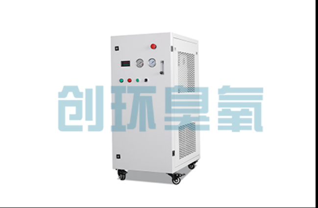 塔城工厂化养鲈必看:2026年臭氧发生器替代传统消毒的最新方案