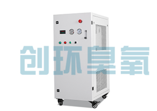 塔城石斑鱼养殖水质调控完整指南：臭氧发生器配置与操作步骤